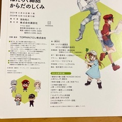 はたらく細胞　新品同様の画像