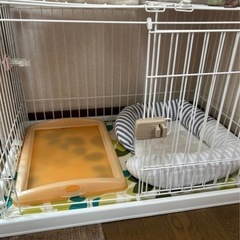 犬　ペット　ゲージ　小型犬　トイレ　水飲みの画像