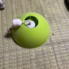ホタルック 電気傘