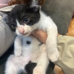 可愛いだけじゃだめですか？🥹日々の疲れを癒されてみませんか？