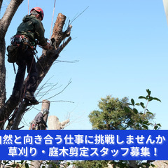「枝の流れを読み、形を整える。“緑の仕立て屋”募集。」