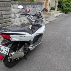 ＰＣＸ150   KF18の画像