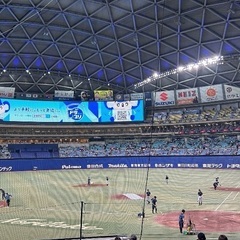 野球観戦仲間募集！ - 名古屋市