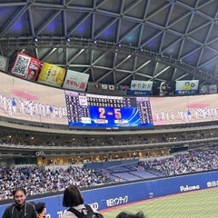 野球観戦仲間募集！
