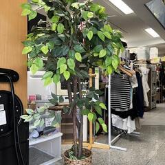 ★新入荷 フェイクグリーン 観葉植物