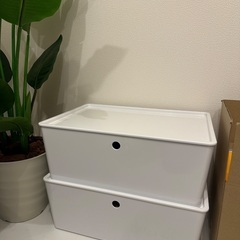 IKEA クッギス ふた付きボックス ×2