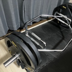 ヘックスバーとオリンピックラバープレート25kgを4枚