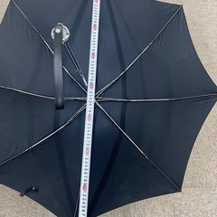 折り畳み傘の画像