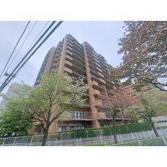 😍初期費用8万円のみ🔶フリーレント1ヶ月⭐️敷・礼ゼロ！🔶即入居...