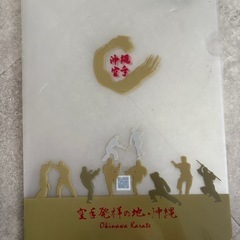 おまとめ無料 空手クリアファイル