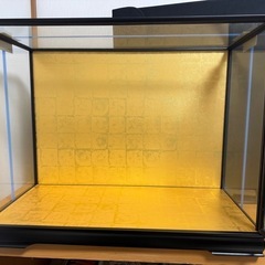 新品 人形 ケース