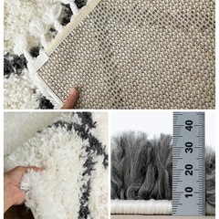 【1,000円】カーペットの画像