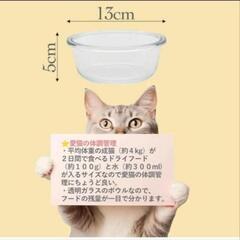 犬 猫 ペットの食器とテーブルの画像