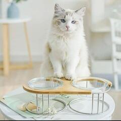犬 猫 ペットの食器とテーブルの画像