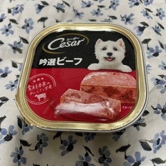 Cesar シーザー吟選ビーフ
