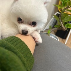 【湘南エリア】趣味が合う方募集してます！