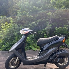 dio af35 原付の画像