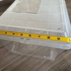 プラケース大の画像