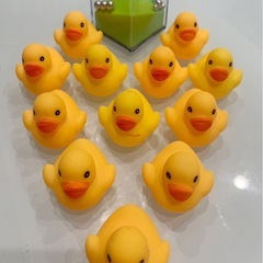 ひよこ🐣12匹＋なにかのおもちゃ