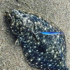 ✨🎣釣り仲間募集！🎣✨　初心者、未経験者大歓迎！