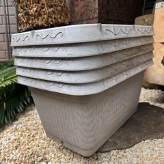 大きいプランター5個セットの画像