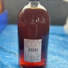 【お話し中】紀州南高完熟梅酒　樽　720mlの画像