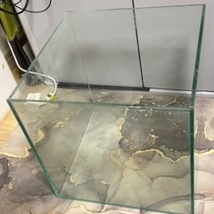 水槽（27センチ立方体）