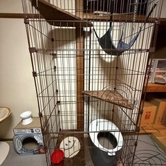 ペット用品
。  