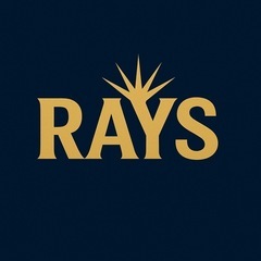⚾️草野球チーム「RAYS」メンバー募集⚾