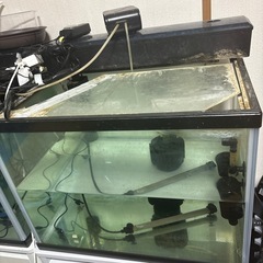 ニッソー60×45×45㎝水槽セット　熱帯魚　アクアリウム  の画像