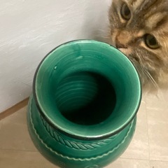 緑の花瓶の画像