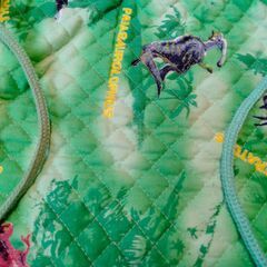 恐竜柄　リュック型巾着袋　中古　紐に汚れあり　送料が高いので取りにこれる方限定の画像