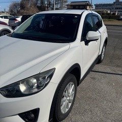 cx5 XD の画像