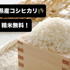 R6福島県産コシヒカリ10キロ
