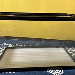 60㎝水槽