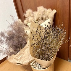 モフモフドライフラワーの画像