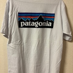 パタゴニアTシャツ