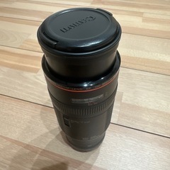 CANON ZOOM LENS EF 100-300mm 1:5.6L