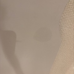 【8/21までに売買希望】Lowya 　マントルピースの画像