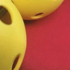 海老名で活動する、ピックルボールメンバー募集
