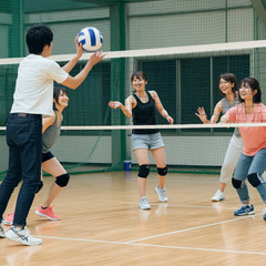 ミニバレー🌟仲間募集中🏐