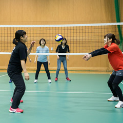 ミニバレー🌟仲間募集中🏐 - スポーツ