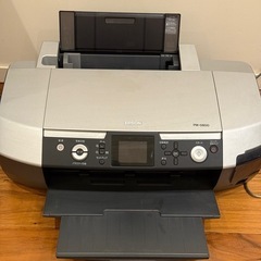 エプソン　カラリオ　PM D800 動作確認済み