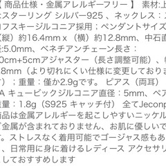 未使用ネックレスピアスBOXセットの画像