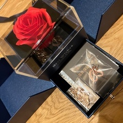 未使用ネックレスピアスBOXセット