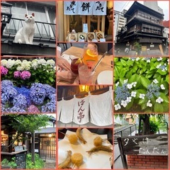 女性限定☆40代からの友達&飲み仲間募集🥂𓈒𓏸◌