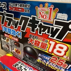 ※最終値下げ中※害虫駆除・ゴキブリ用の画像