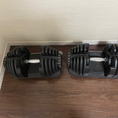 アジャスタブルダンベル40kg 2個セット