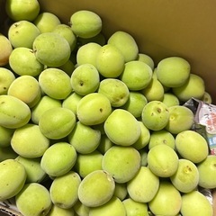 梅
