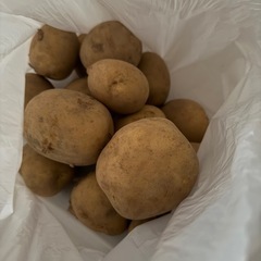 【 短 期 出 品 】  じゃがいも
